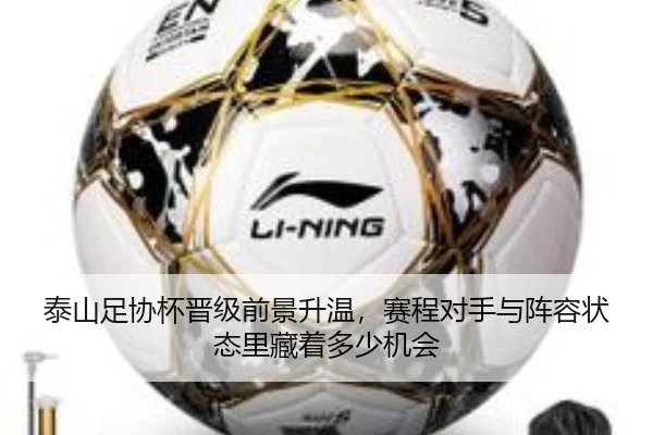 泰山足协杯晋级前景升温，赛程对手与阵容状态里藏着多少机会 | lansedaoh