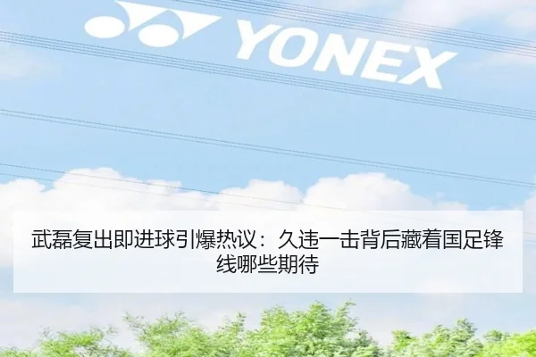 武磊复出即进球引爆热议：久违一击背后藏着国足锋线哪些期待 | lansedaoh